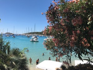 IMG_0499